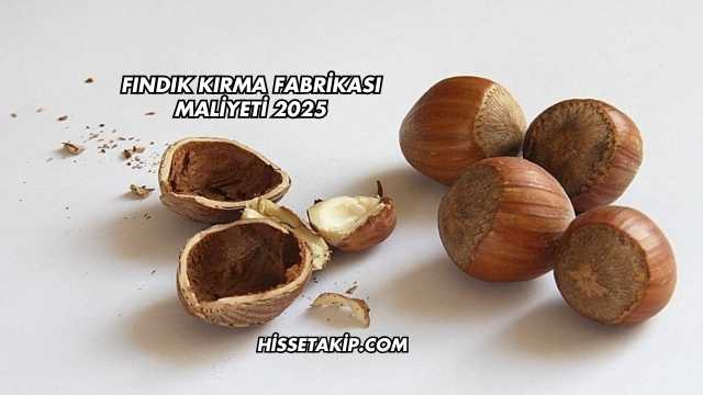 Fındık Kırma Fabrikası Maliyeti 2025