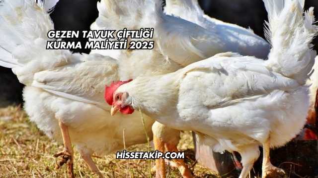 Gezen Tavuk Çiftliği Kurma Maliyeti 2025