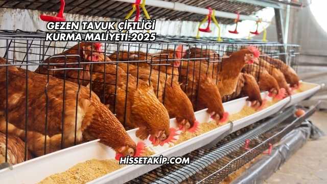 Gezen Tavuk Çiftliği Kurma Maliyeti 2025