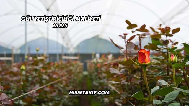 Gül Yetiştiriciliği Maliyeti 2025