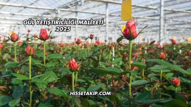 Gül Yetiştiriciliği Maliyeti 2025
