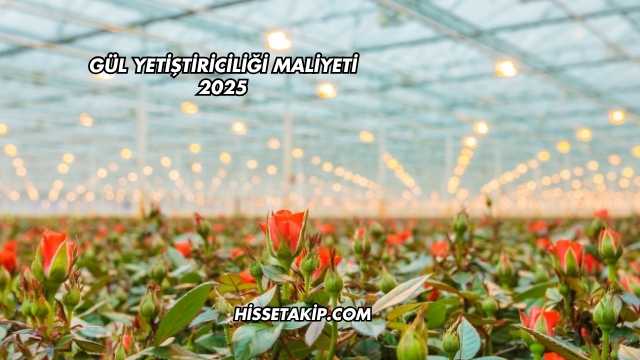 Gül Yetiştiriciliği Maliyeti 2025