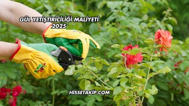 Gül Yetiştiriciliği Maliyeti 2025