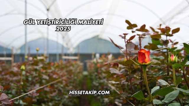Gül Yetiştiriciliği Maliyeti 2025