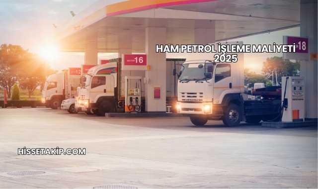 Ham Petrol İşleme Maliyeti 2025