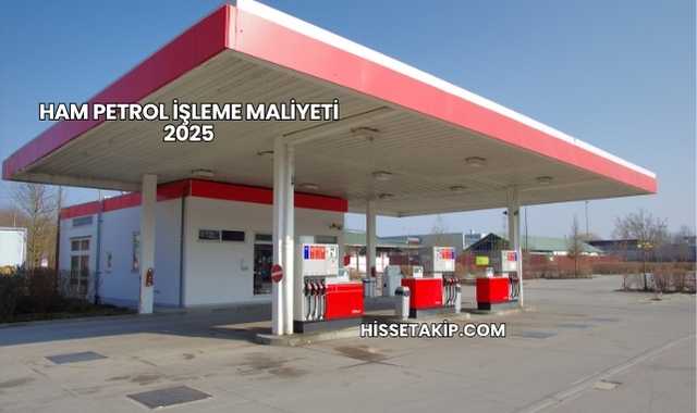 Ham Petrol İşleme Maliyeti 2025