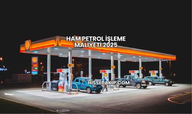 Ham Petrol İşleme Maliyeti 2025
