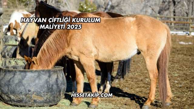 Hayvan Çiftliği Kurulum Maliyeti 2025