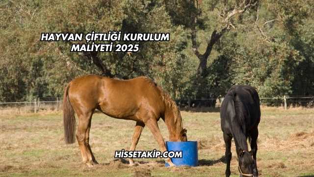 Hayvan Çiftliği Kurulum Maliyeti 2025