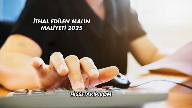 İthal Edilen Malın Maliyeti 2025