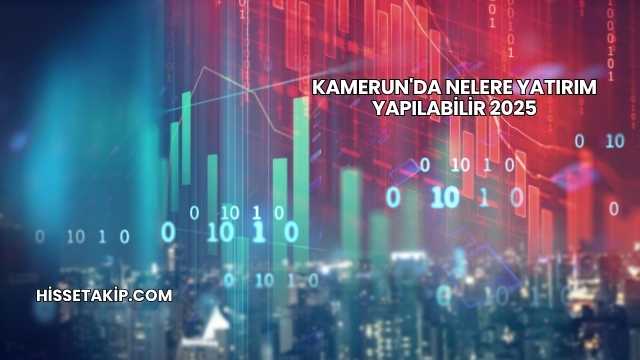 Kamerun'da Nelere Yatırım Yapılabilir 2025