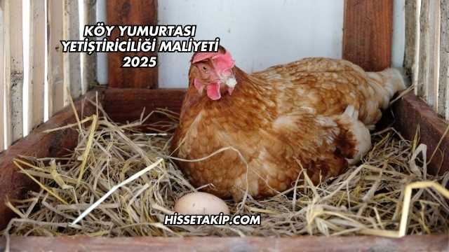 Köy Yumurtası Yetiştiriciliği Maliyeti 2025
