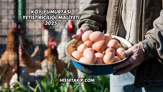 Köy Yumurtası Yetiştiriciliği Maliyeti 2025
