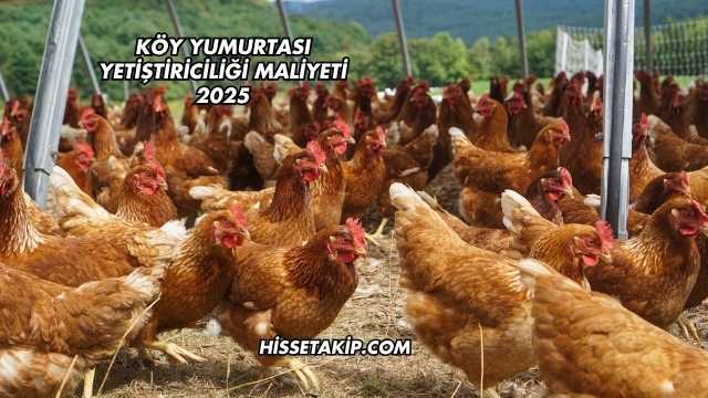 Köy Yumurtası Yetiştiriciliği Maliyeti 2025