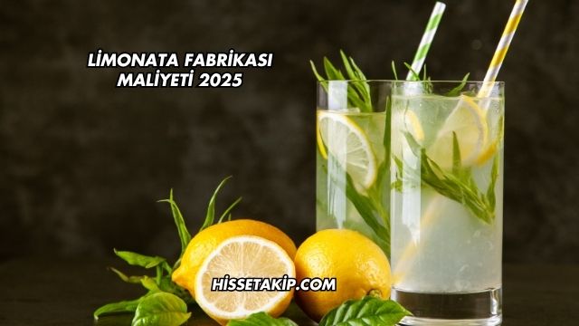 Limonata Fabrikası Maliyeti 2025
