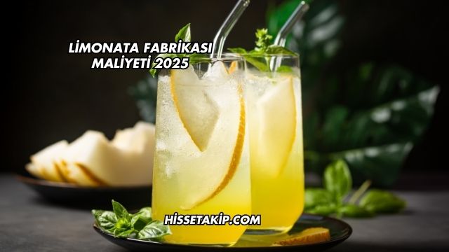 Limonata Fabrikası Maliyeti 2025