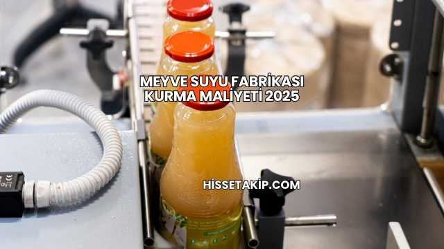 Meyve Suyu Fabrikası Kurma Maliyeti 2025