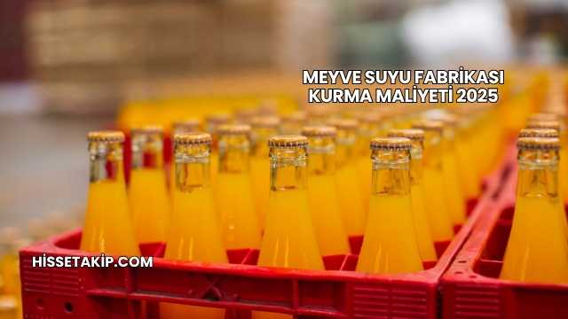 Meyve Suyu Fabrikası Kurma Maliyeti 2025