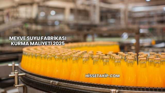 Meyve Suyu Fabrikası Kurma Maliyeti 2025