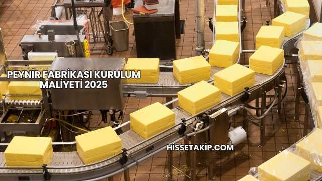 Peynir Fabrikası Kurulum Maliyeti 2025