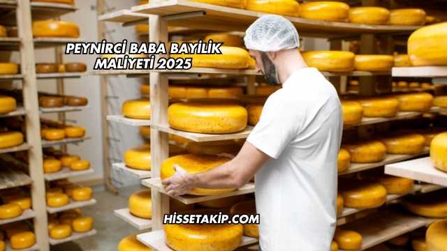 Peynirci Baba Bayilik Maliyeti 2025