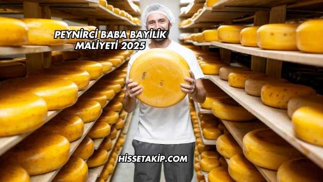 Peynirci Baba Bayilik Maliyeti 2025