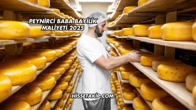 Peynirci Baba Bayilik Maliyeti 2025