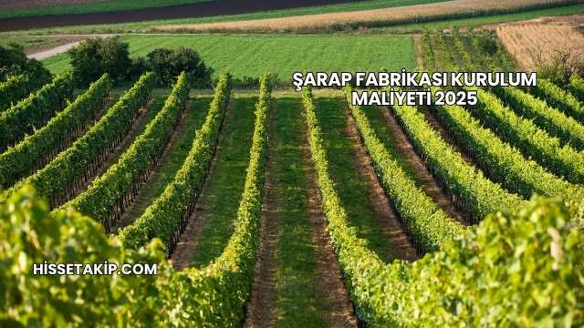 Şarap Fabrikası Kurulum Maliyeti 2025