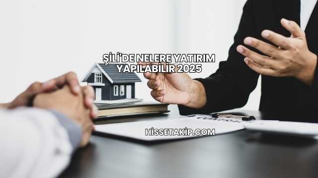 Şili'de Nelere Yatırım Yapılabilir 2025