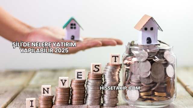 Şili'de Nelere Yatırım Yapılabilir 2025