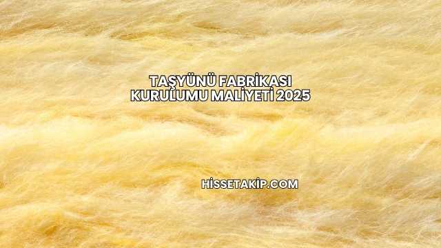 Taşyünü Fabrikası Kurulumu Maliyeti 2025