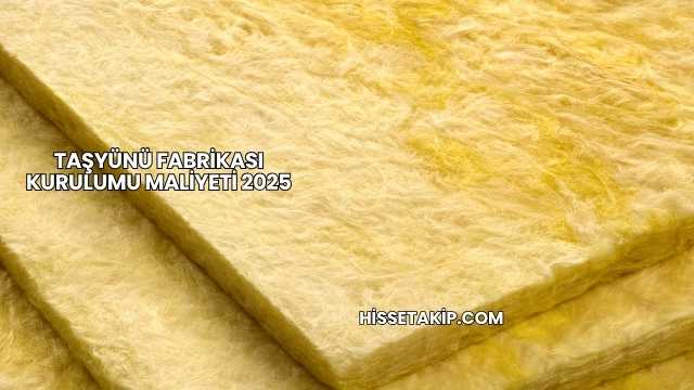 Taşyünü Fabrikası Kurulumu Maliyeti 2025