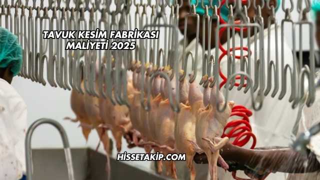 Tavuk Kesim Fabrikası Maliyeti 2025