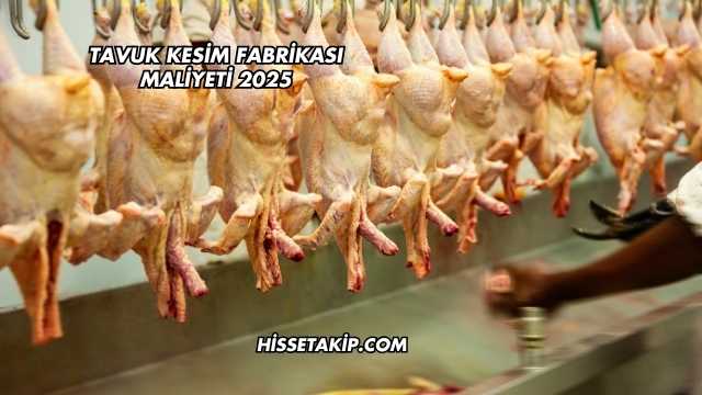 Tavuk Kesim Fabrikası Maliyeti 2025