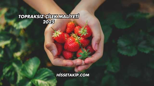 Topraksız Çilek Maliyeti 2025