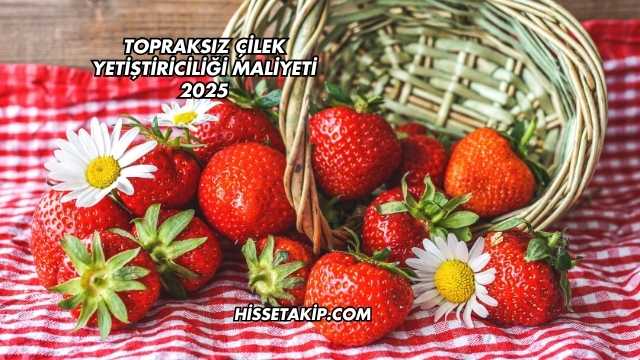 Topraksız Çilek Yetiştiriciliği Maliyeti 2025