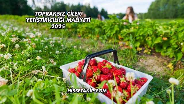 Topraksız Çilek Yetiştiriciliği Maliyeti 2025