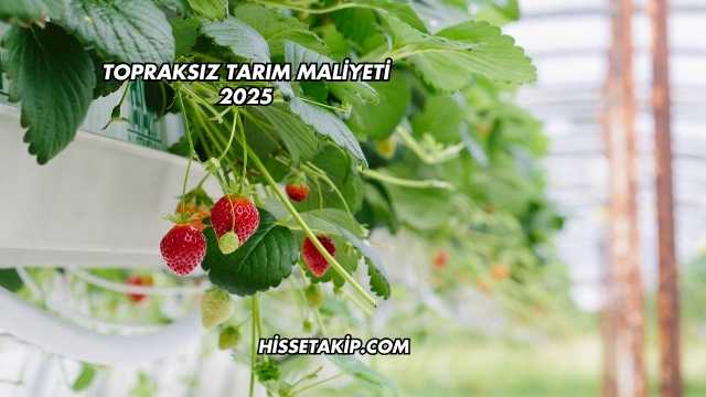 Topraksız Tarım Maliyeti 2025