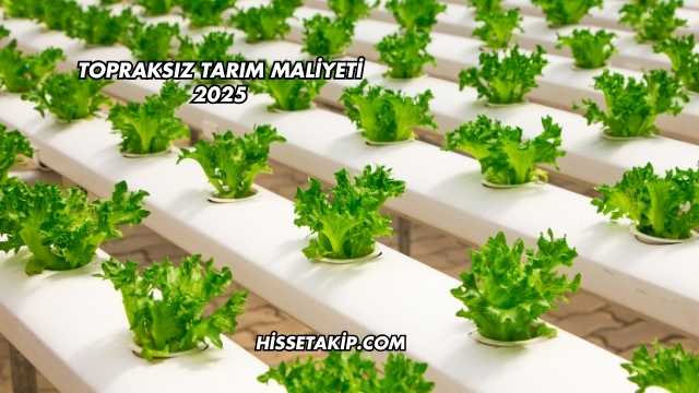 Topraksız Tarım Maliyeti 2025