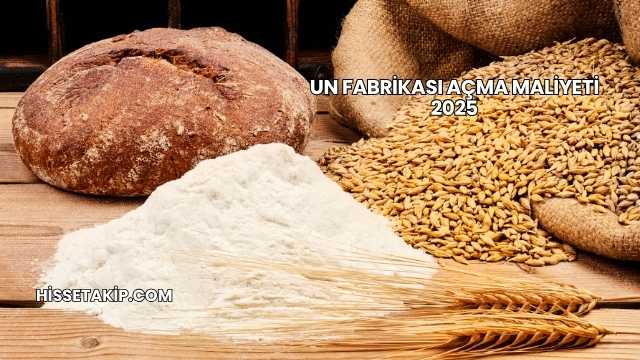 Un Fabrikası Açma Maliyeti 2025