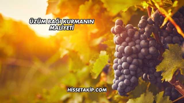 Üzüm Bağı Kurmanın Maliyeti
