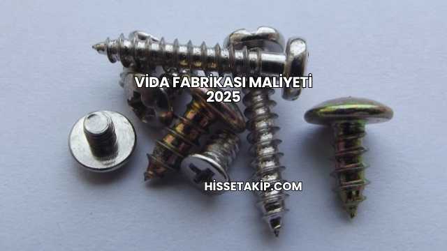 Vida Fabrikası Maliyeti 2025