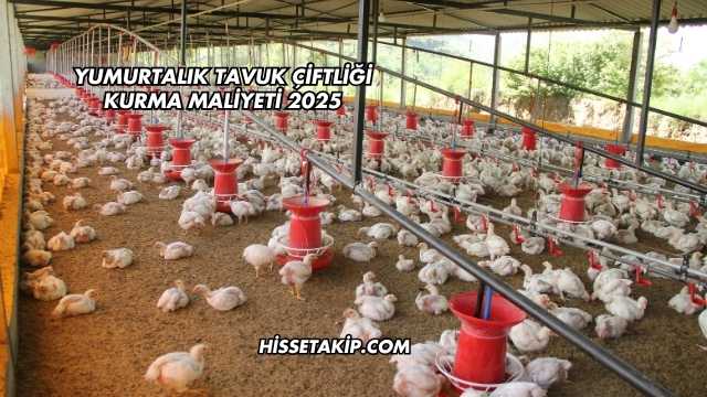 Yumurtalık Tavuk Çiftliği Kurma Maliyeti 2025