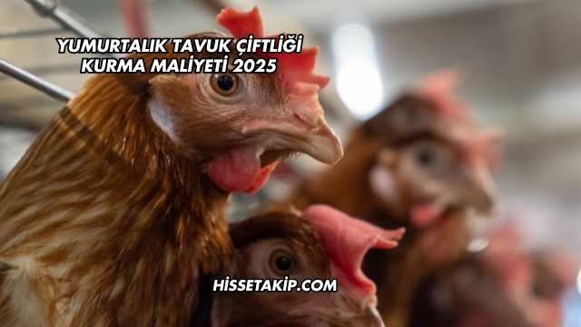Yumurtalık Tavuk Çiftliği Kurma Maliyeti 2025