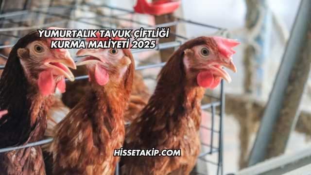 Yumurtalık Tavuk Çiftliği Kurma Maliyeti 2025