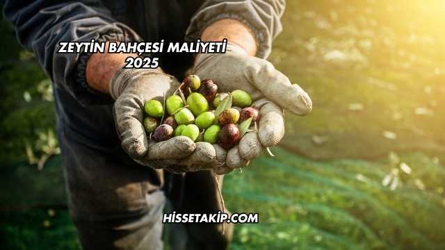 Zeytin Bahçesi Maliyeti 2025
