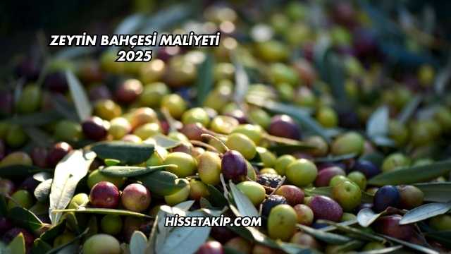 Zeytin Bahçesi Maliyeti 2025