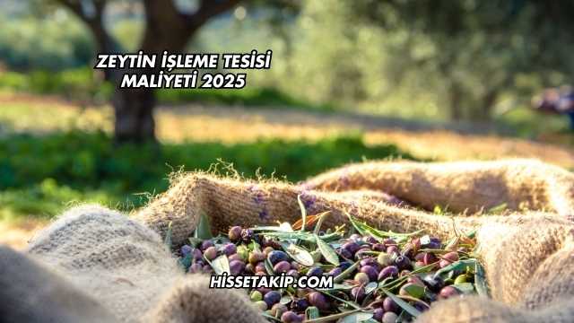 Zeytin İşleme Tesisi Maliyeti 2025