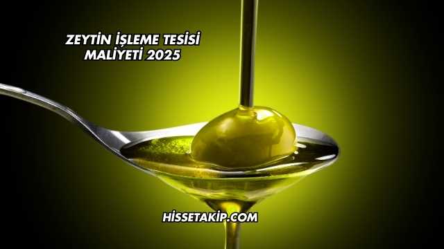 Zeytin İşleme Tesisi Maliyeti 2025