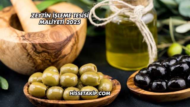 Zeytin İşleme Tesisi Maliyeti 2025